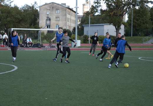 Копия IMG 5286