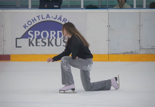 IMG 6956